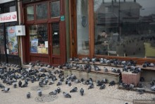 Балканское кольцо. Часть 5