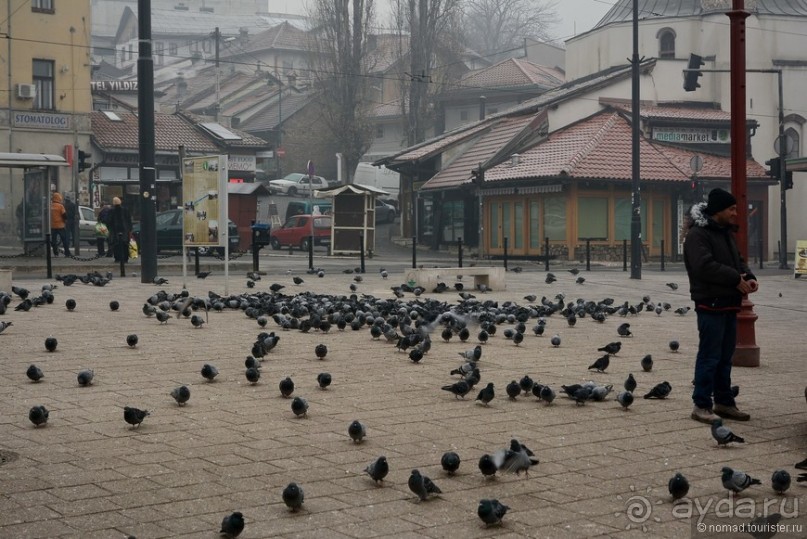 Балканское кольцо. Часть 5