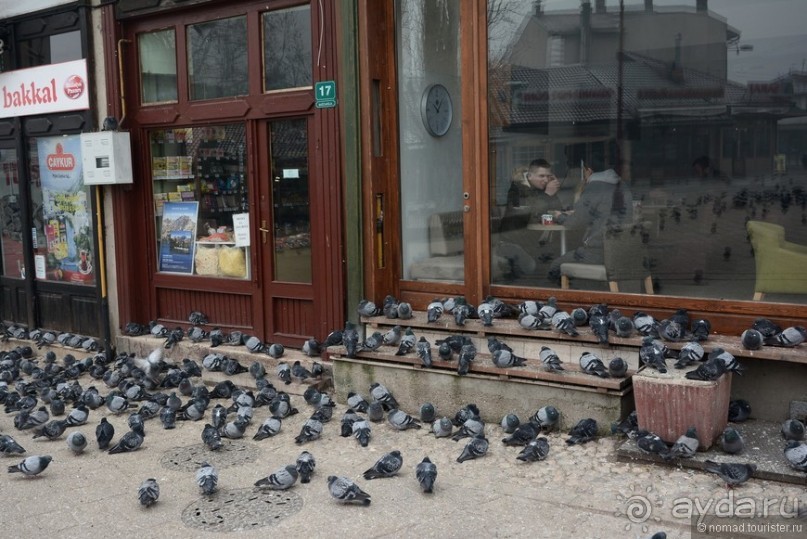 Балканское кольцо. Часть 5