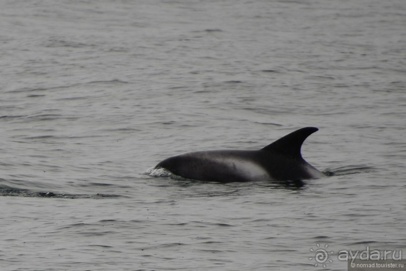 2226 километров по стране чудес. Исландия. Часть 1