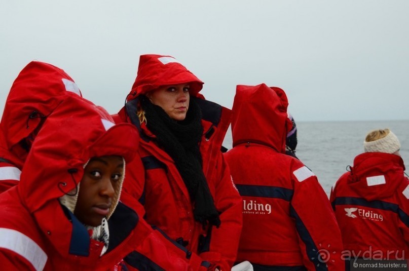 2226 километров по стране чудес. Исландия. Часть 1