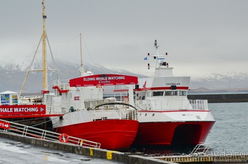 2226 километров по стране чудес. Исландия. Часть 1