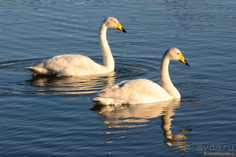2226 километров по стране чудес. Исландия. Часть 1