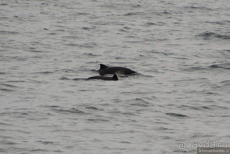 2226 километров по стране чудес. Исландия. Часть 1