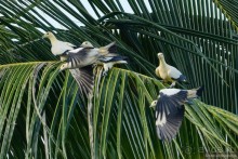 Азиатский квест, или поди туда, не знаю куда. Часть 7