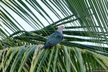 Азиатский квест, или поди туда, не знаю куда. Часть 7