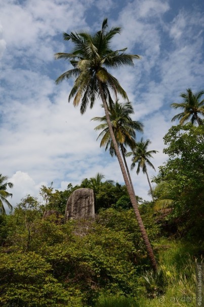 Азиатский квест, или поди туда, не знаю куда. Часть 7
