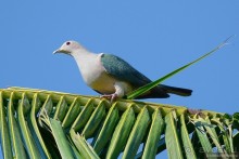 Азиатский квест, или поди туда, не знаю куда. Часть 7