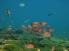 Азиатский квест, или поди туда, не знаю куда. Часть 7