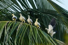 Азиатский квест, или поди туда, не знаю куда. Часть 7