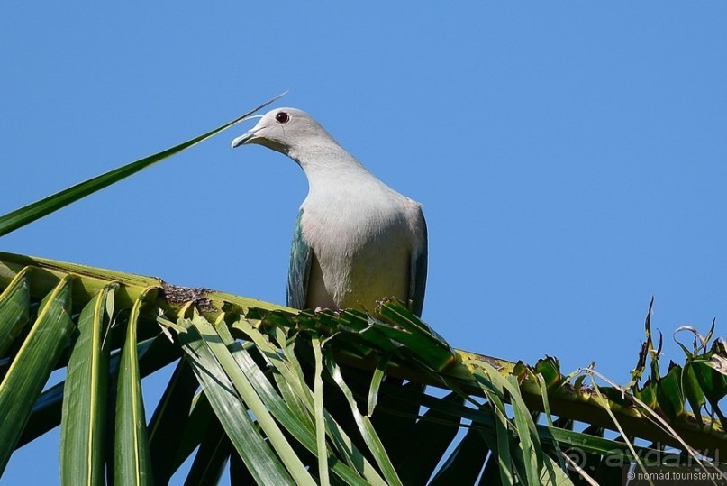 Азиатский квест, или поди туда, не знаю куда. Часть 7