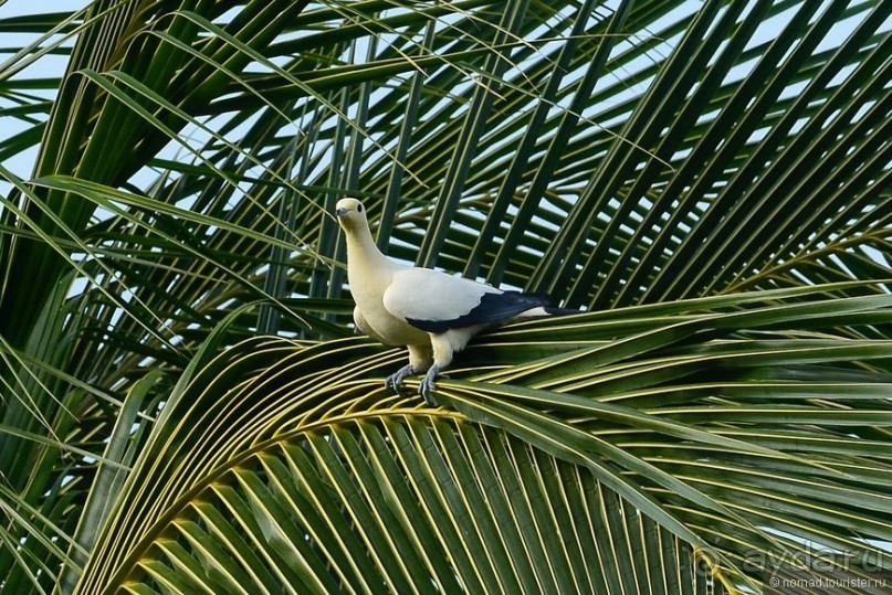 Азиатский квест, или поди туда, не знаю куда. Часть 7
