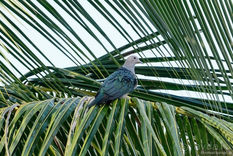 Азиатский квест, или поди туда, не знаю куда. Часть 7