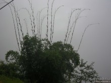 Изрядно подмоченный отчет по Вьетнаму. Часть 2