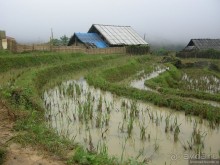 Изрядно подмоченный отчет по Вьетнаму. Часть 2