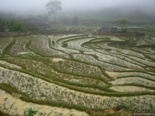 Изрядно подмоченный отчет по Вьетнаму. Часть 2