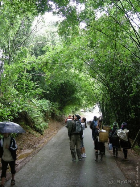 Изрядно подмоченный отчет по Вьетнаму. Часть 2