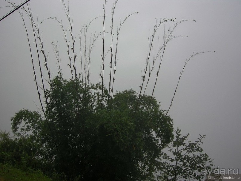 Изрядно подмоченный отчет по Вьетнаму. Часть 2