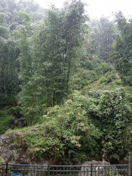 Изрядно подмоченный отчет по Вьетнаму. Часть 2