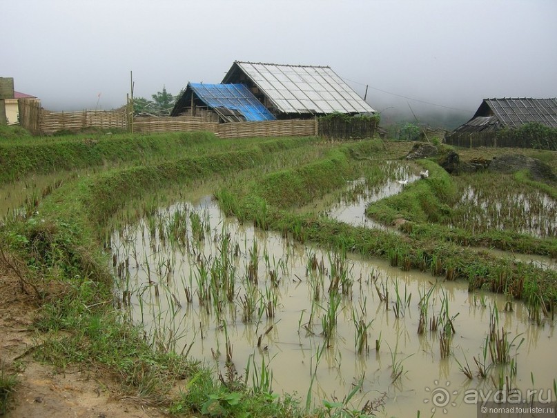 Изрядно подмоченный отчет по Вьетнаму. Часть 2