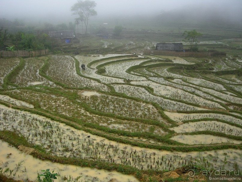 Изрядно подмоченный отчет по Вьетнаму. Часть 2