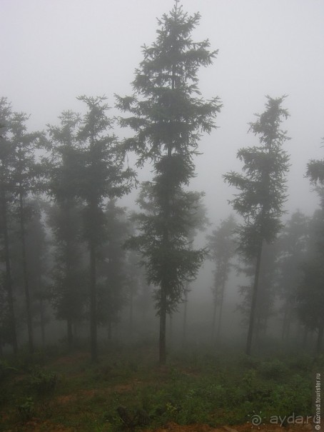 Изрядно подмоченный отчет по Вьетнаму. Часть 2