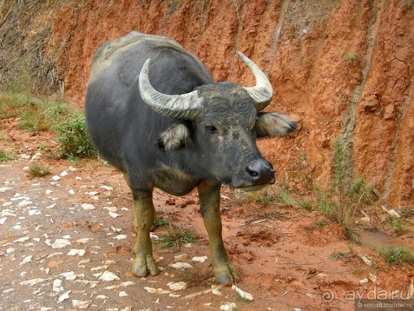 Изрядно подмоченный отчет по Вьетнаму. Часть 2