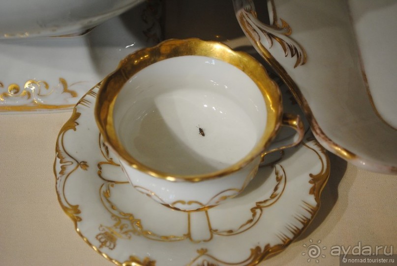 Классическая Вена