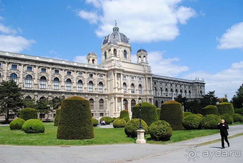 Классическая Вена