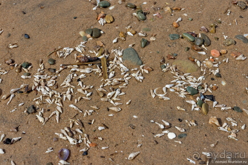 Африканское ралли. Часть 11. Малави.