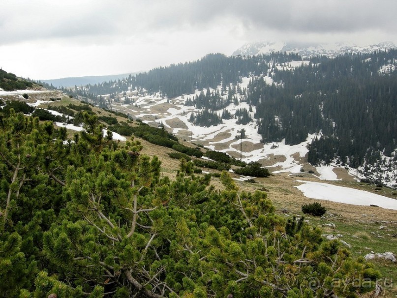 Черногорские хроники. Возвращение. Часть 3