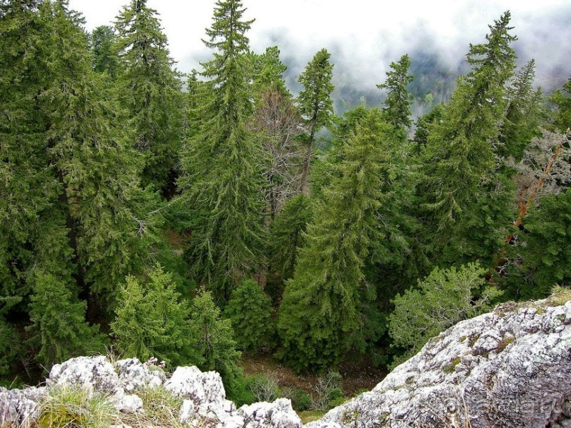 Черногорские хроники. Возвращение. Часть 3