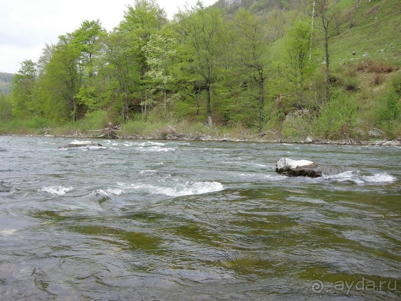Черногорские хроники. Возвращение. Часть 3