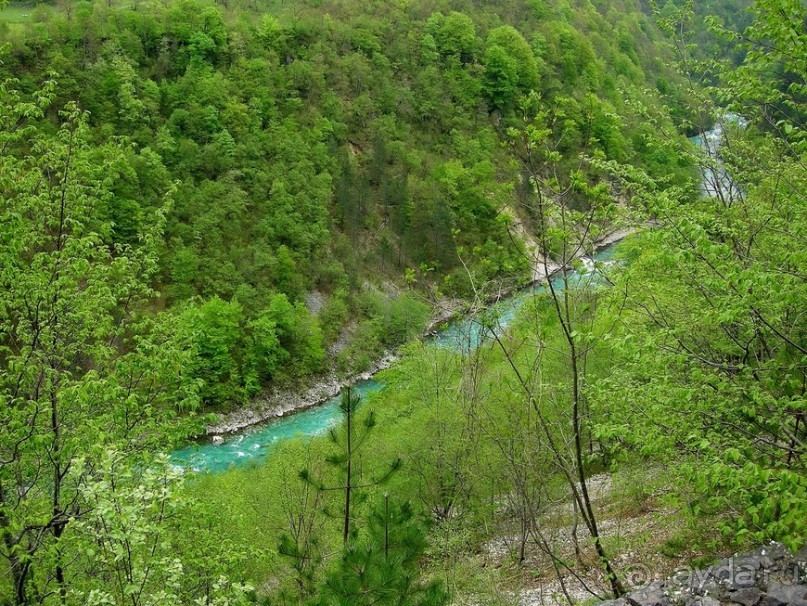 Черногорские хроники. Возвращение. Часть 3