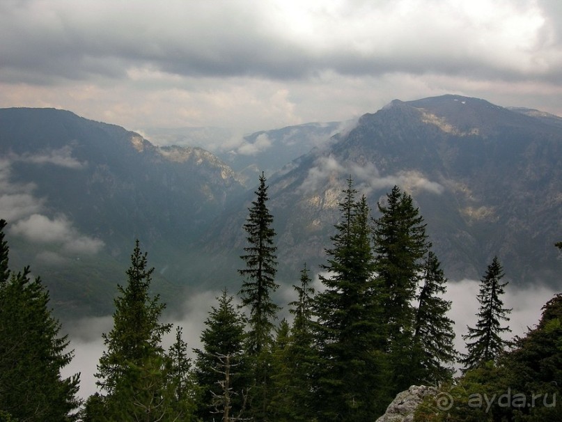 Черногорские хроники. Возвращение. Часть 3