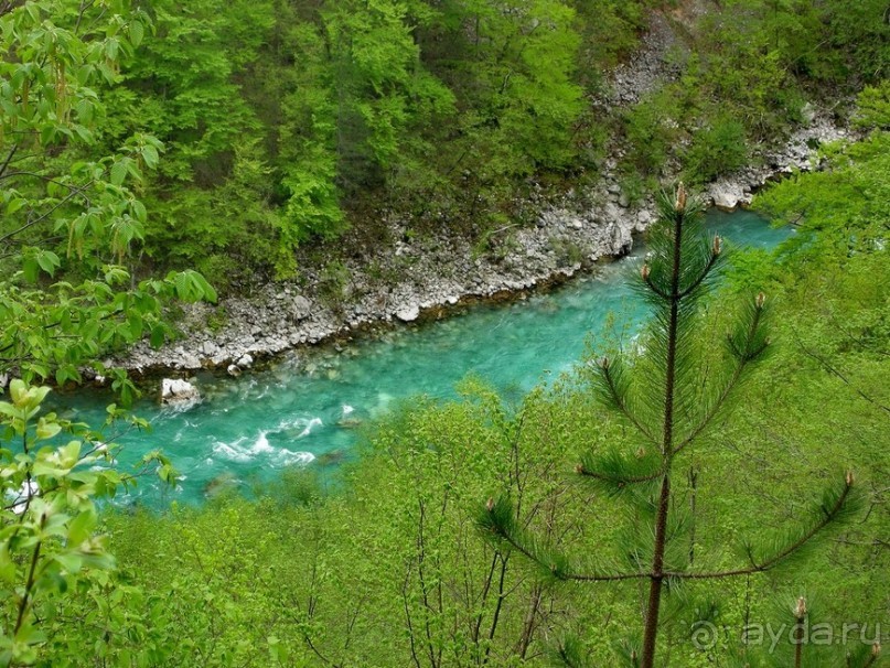 Черногорские хроники. Возвращение. Часть 3