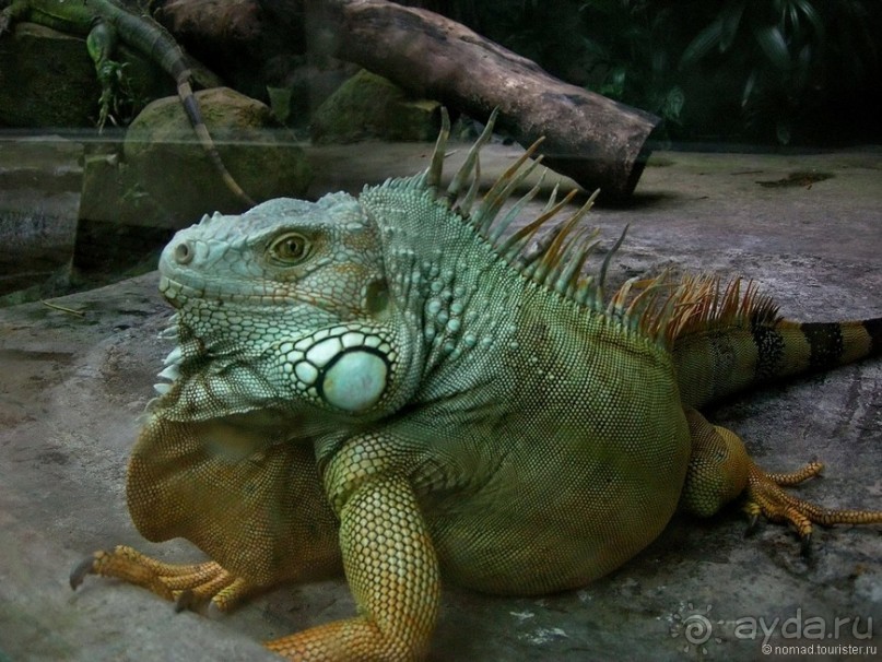 Изрядно подмоченный отчет по Вьетнаму. Часть 6