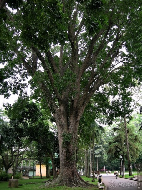 Изрядно подмоченный отчет по Вьетнаму. Часть 6