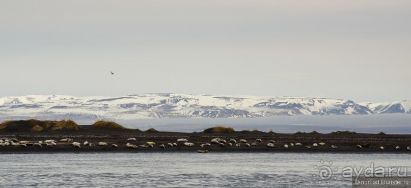2226 километров по стране чудес. Исландия. Часть 7