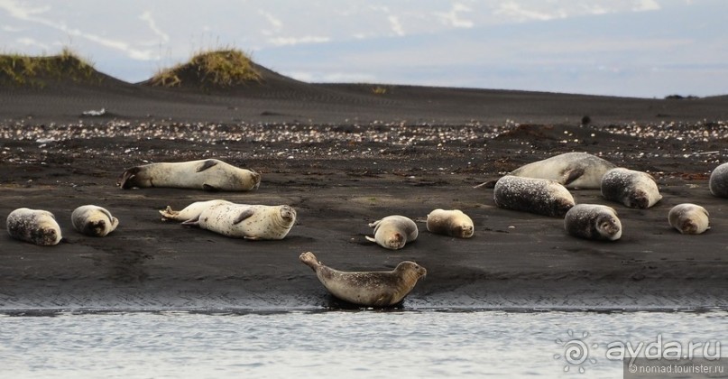 2226 километров по стране чудес. Исландия. Часть 7