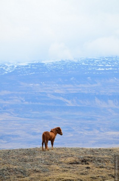 2226 километров по стране чудес. Исландия. Часть 7