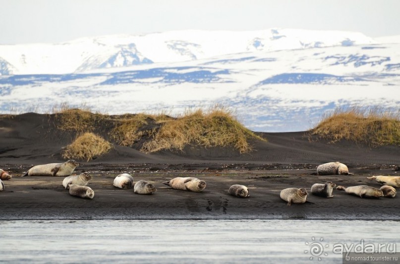 2226 километров по стране чудес. Исландия. Часть 7