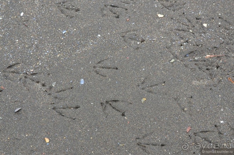 2226 километров по стране чудес. Исландия. Часть 7