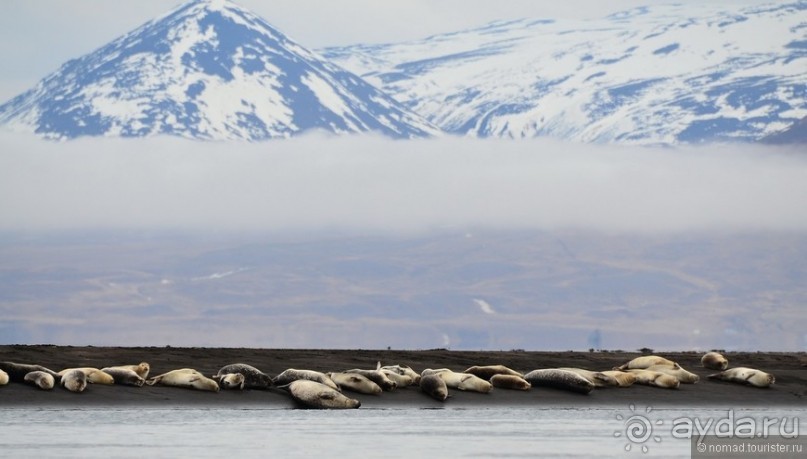 2226 километров по стране чудес. Исландия. Часть 7