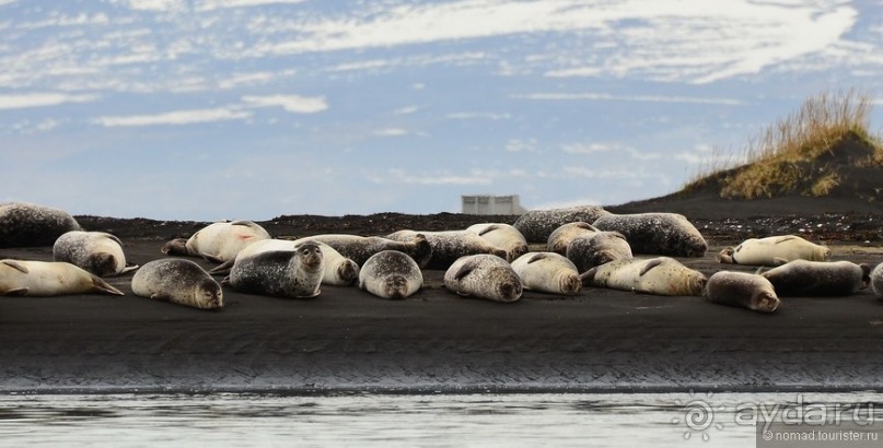 2226 километров по стране чудес. Исландия. Часть 7