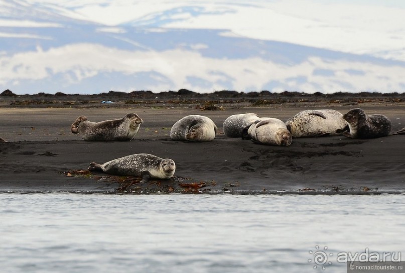 2226 километров по стране чудес. Исландия. Часть 7