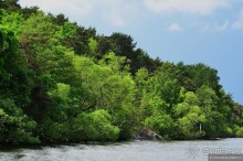 Скандинавские сказки. Стокгольм. Часть 2