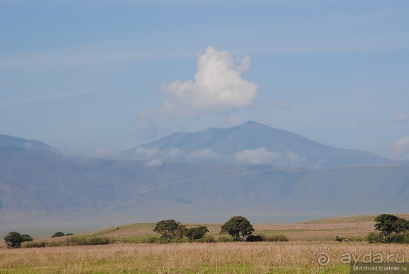 Акуна матата, или даешь сафари! Часть 4