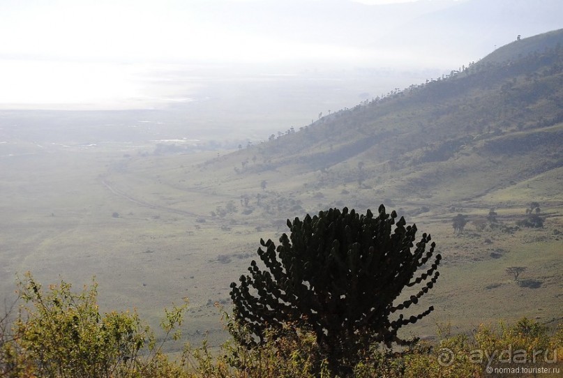 Акуна матата, или даешь сафари! Часть 4