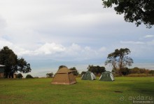 Акуна матата, или даешь сафари! Часть 4